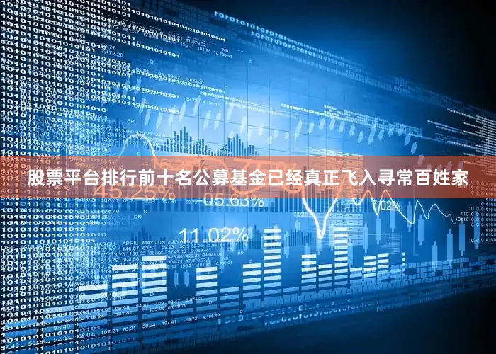股票平台排行前十名公募基金已经真正飞入寻常百姓家