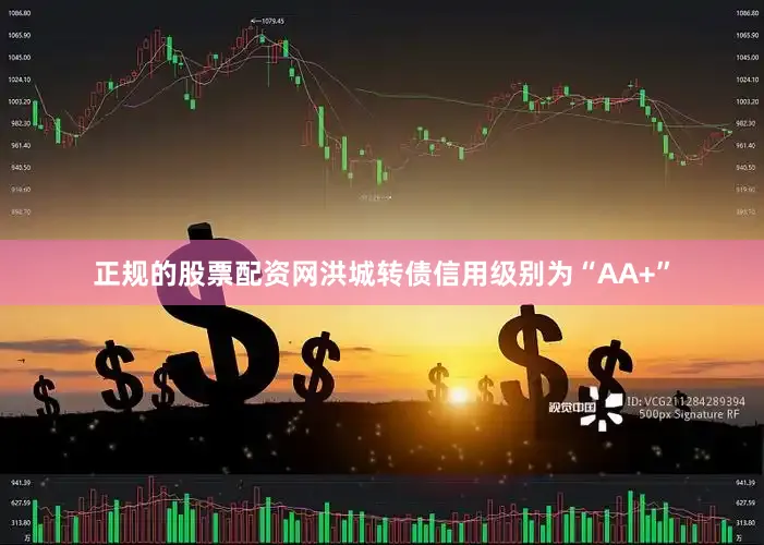 正规的股票配资网洪城转债信用级别为“AA+”