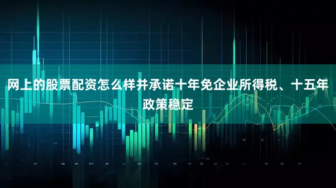 网上的股票配资怎么样并承诺十年免企业所得税、十五年政策稳定