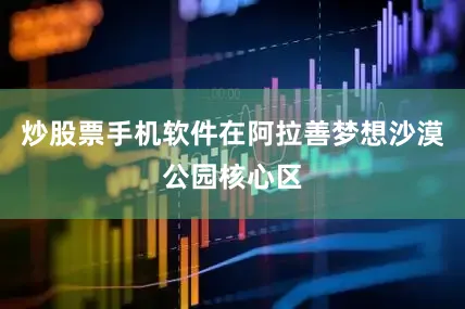 炒股票手机软件在阿拉善梦想沙漠公园核心区